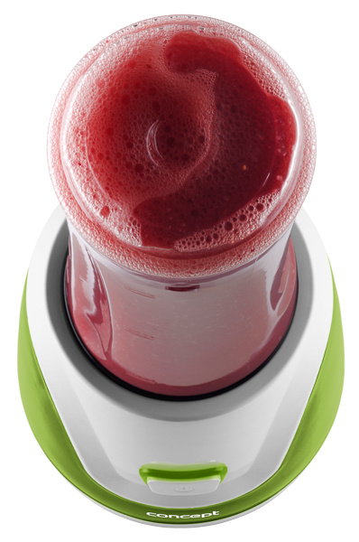 BLENDER CONCEPT SM3365