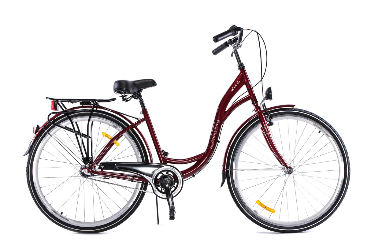 STORM AMSTERDAM 3S BORDOWY KOŁA 28 2025 RAMA 17 GRATIS POMPKA!