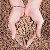 PELLET ŻWIREK DREWNIANY DLA TWOJEGO PUPILA 15KG !