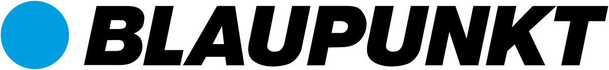 WYCISKARKA BLAUPUNKT SJV601