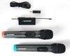 Mikrofon bezprzewodowy BLAUPUNKT WM60UDB 2 szt.
