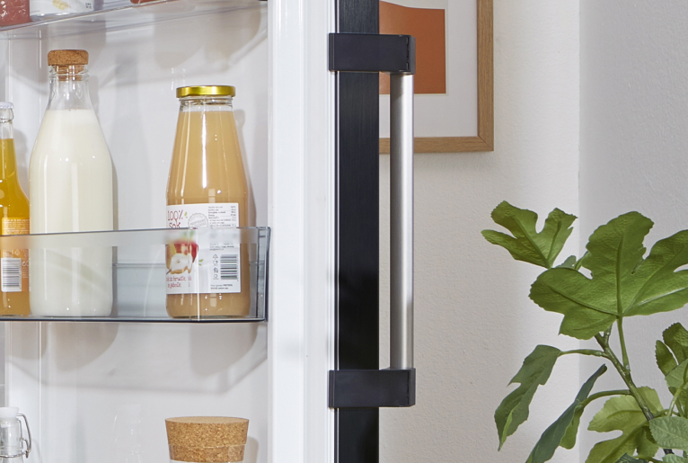 Lodówka Gorenje R619EABK6